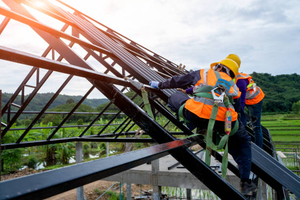 Best Roof Waterproofing Services  in Glenwood, IL