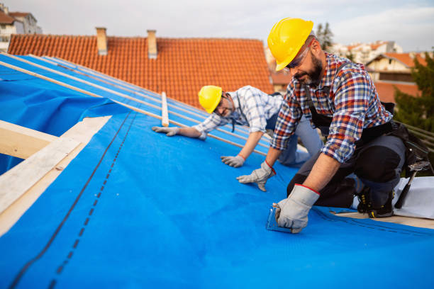 Best Metal Roofing Contractor  in Glenwood, IL