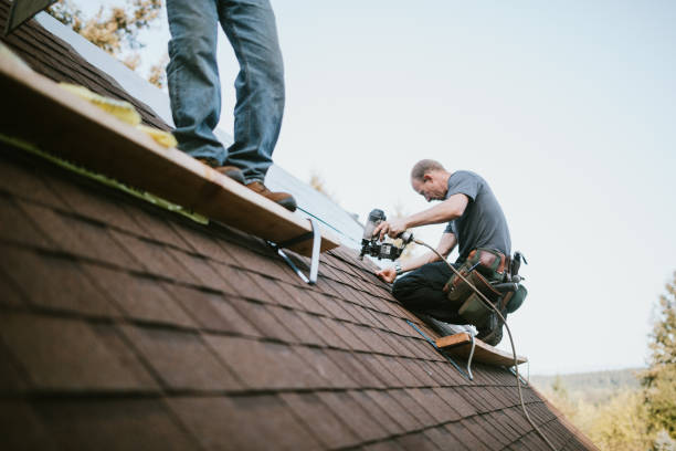 Quick and Trustworthy Emergency Roof Repair Services in Glenwood, IL